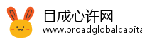 目成心许网